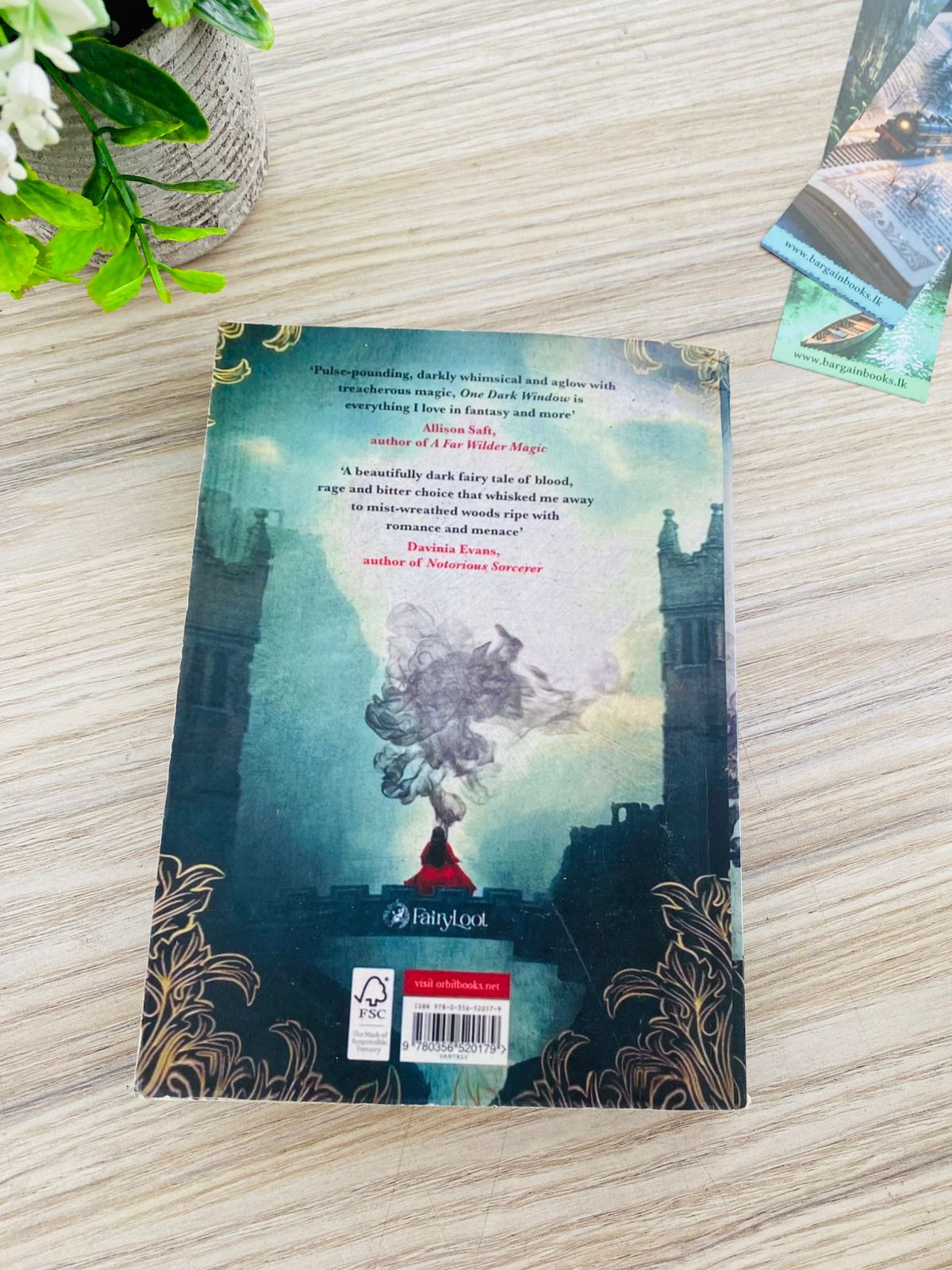 One darel window by Rachel Gillig - 3 (510)