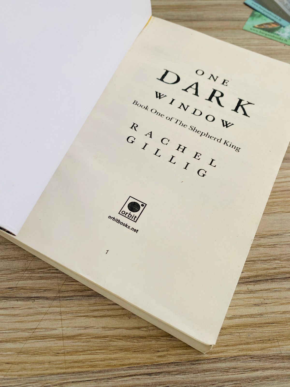 One darel window by Rachel Gillig - 4 (510)