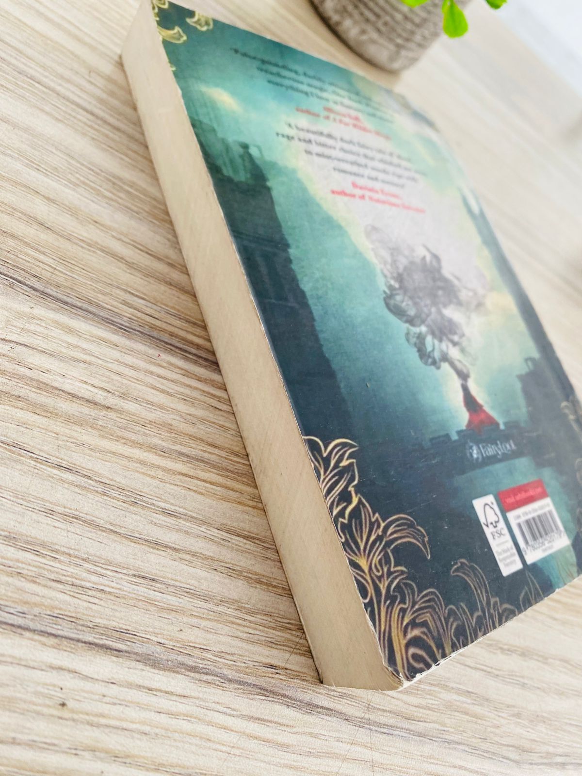 One darel window by Rachel Gillig - 6 (510)