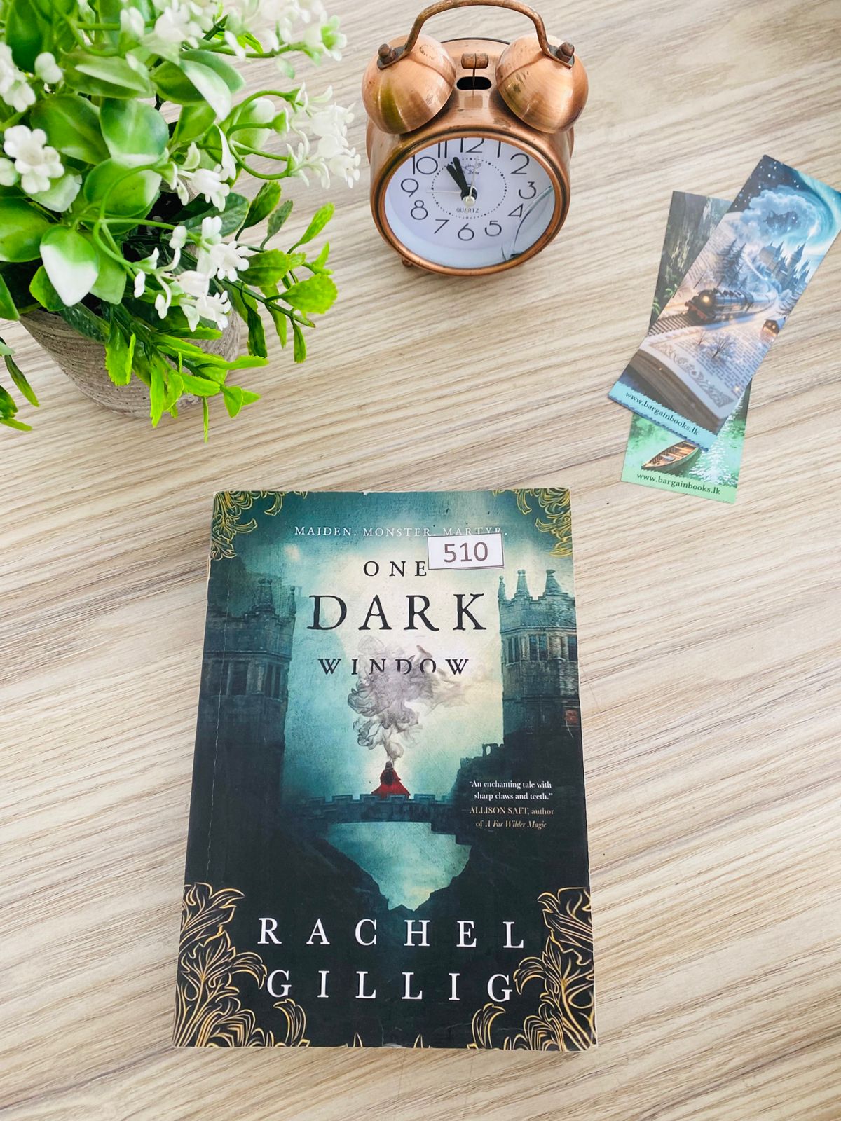 One darel window by Rachel Gillig - 7 (510) One Dark Window