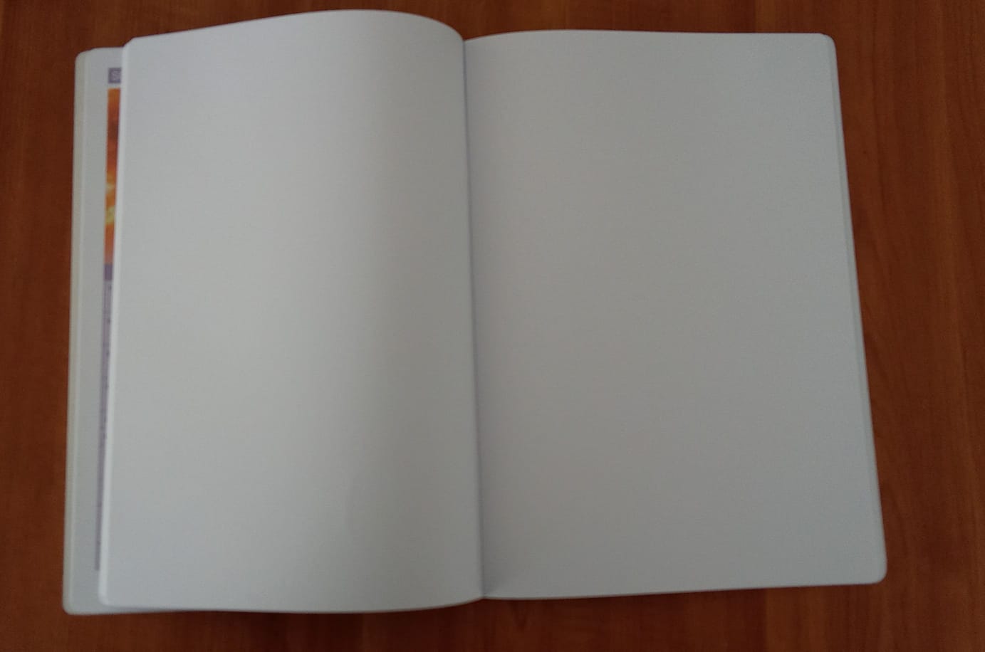 PROMATE CR CLEAR 120P (1) PROMATE CR CLEAR 120P