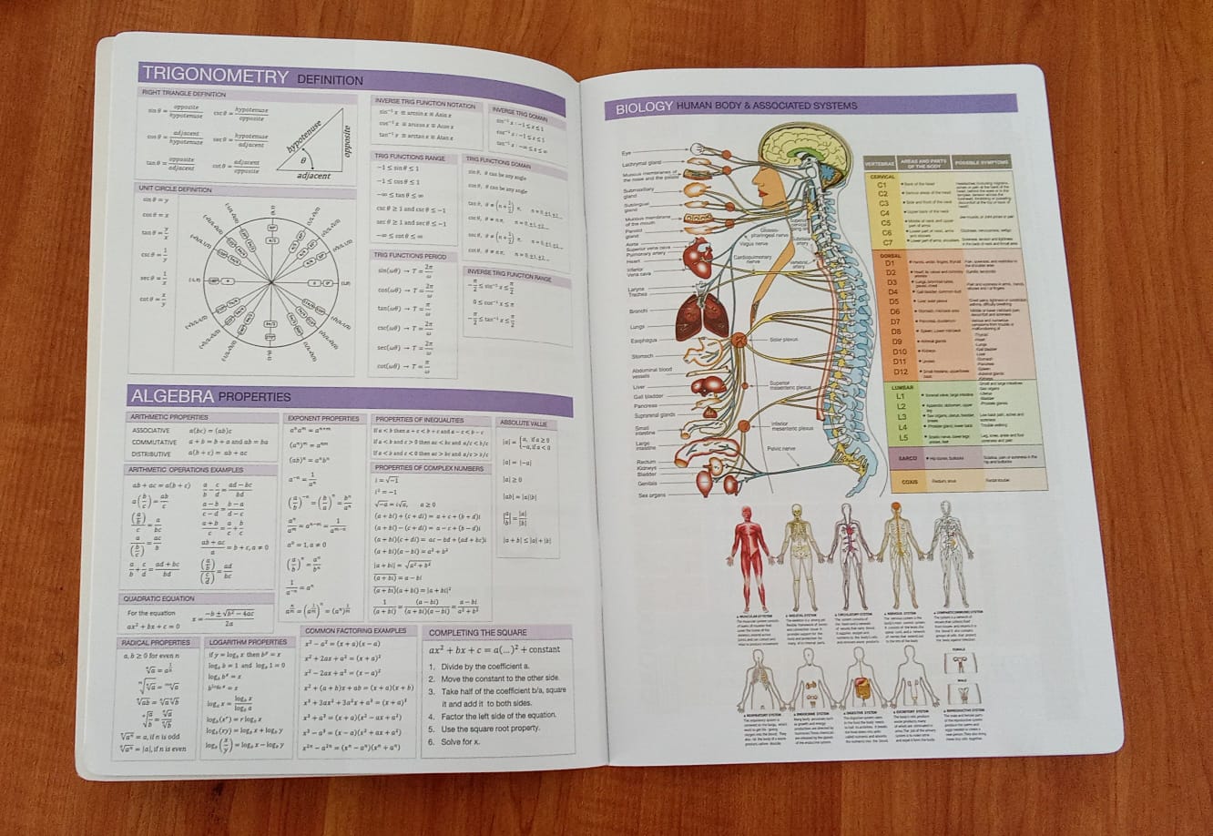 PROMATE CR CLEAR 120P (3)