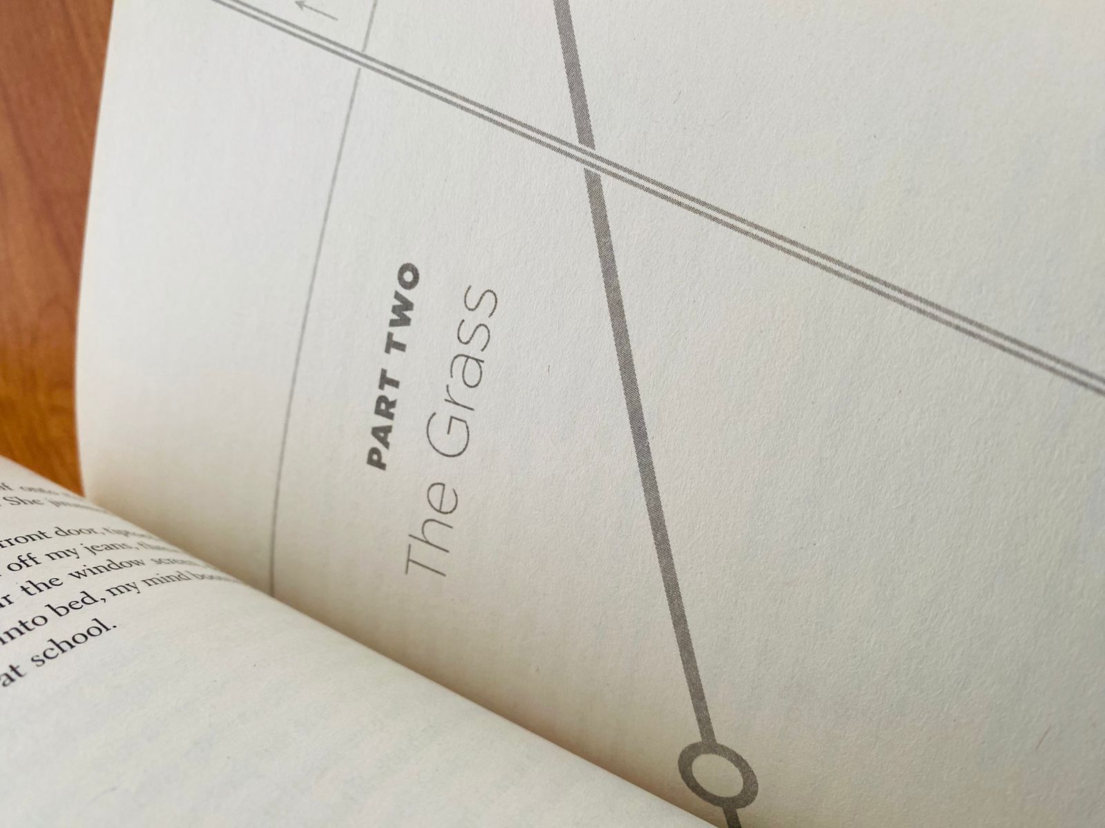 Paper Towns (4) Paper Towns