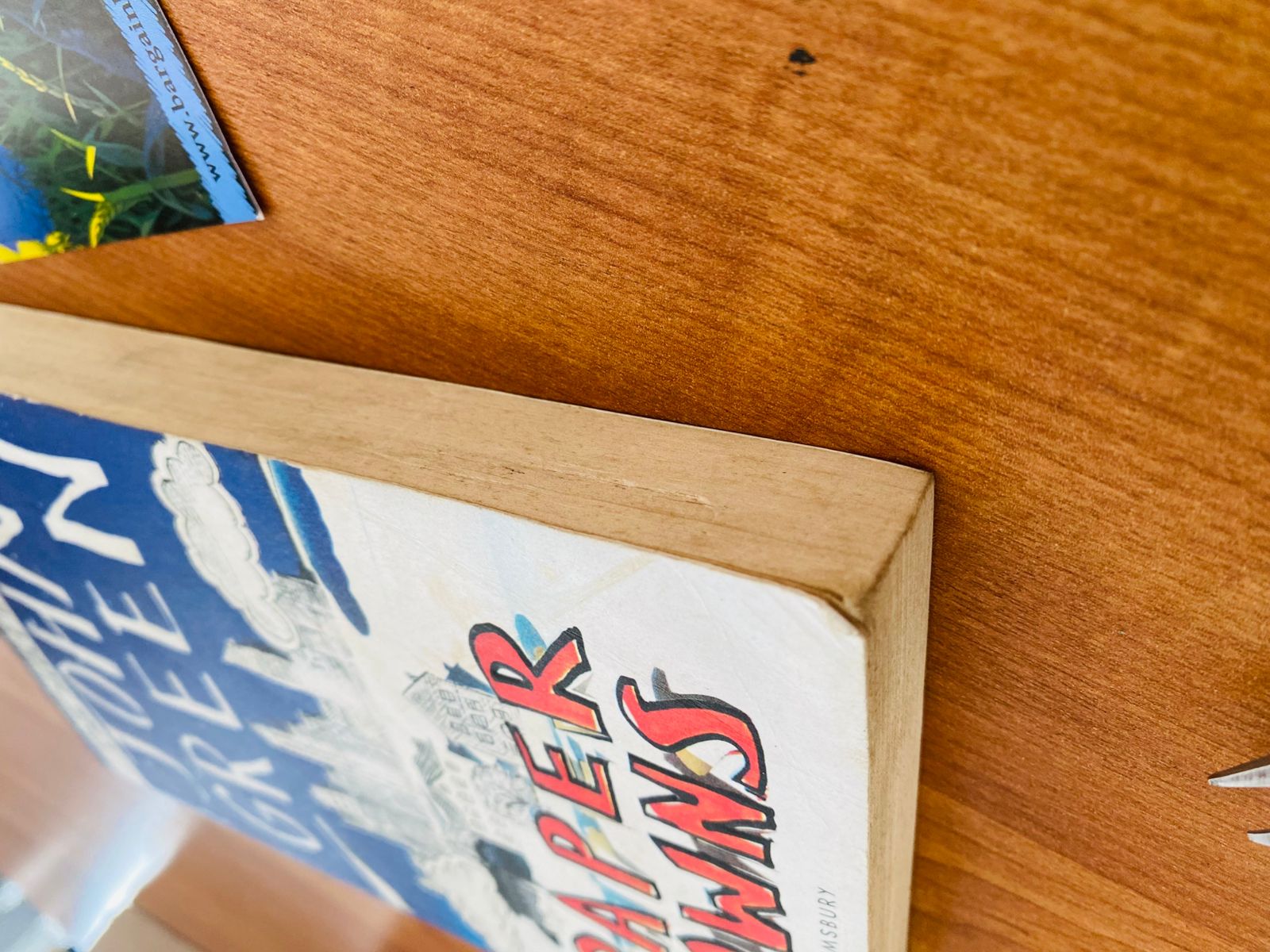 Paper Towns (6) Paper Towns