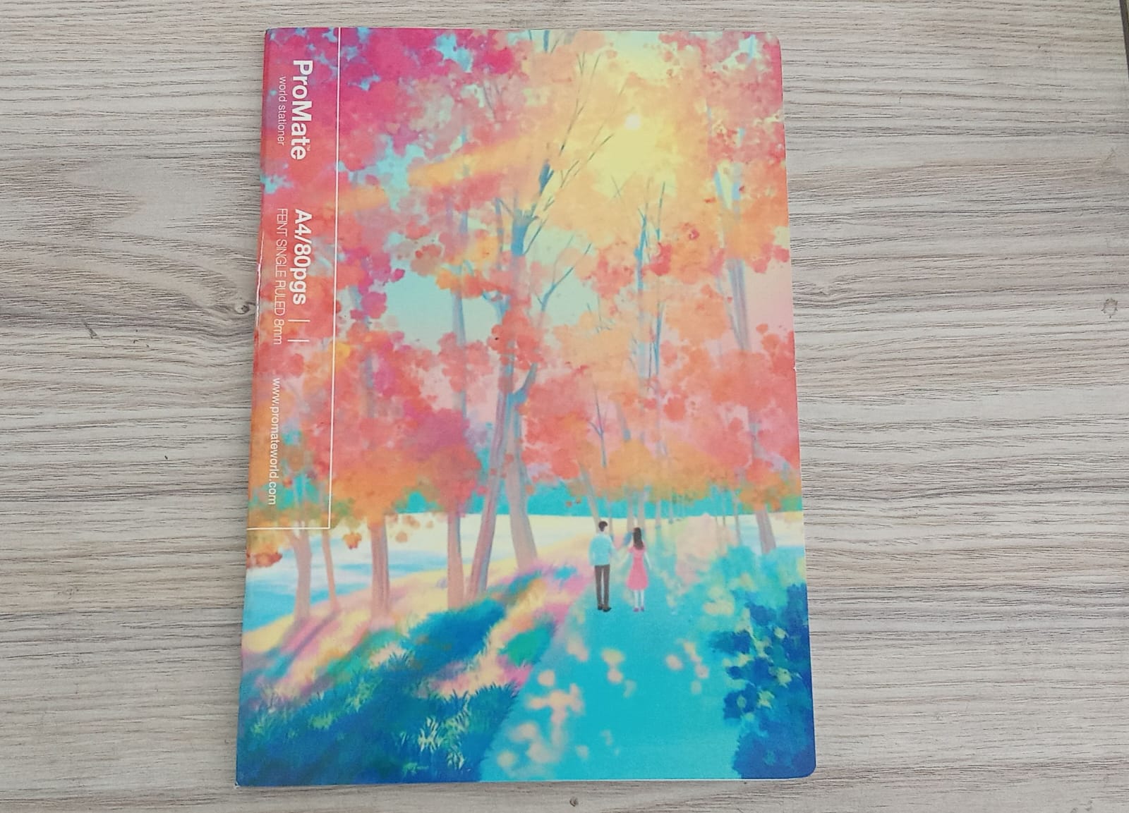 ProMate CR 80Pgs Book Square Ruled (3)