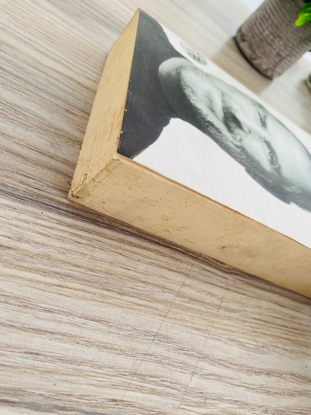 Steve Jobs by Walter - 5 (574) Steve Jobs