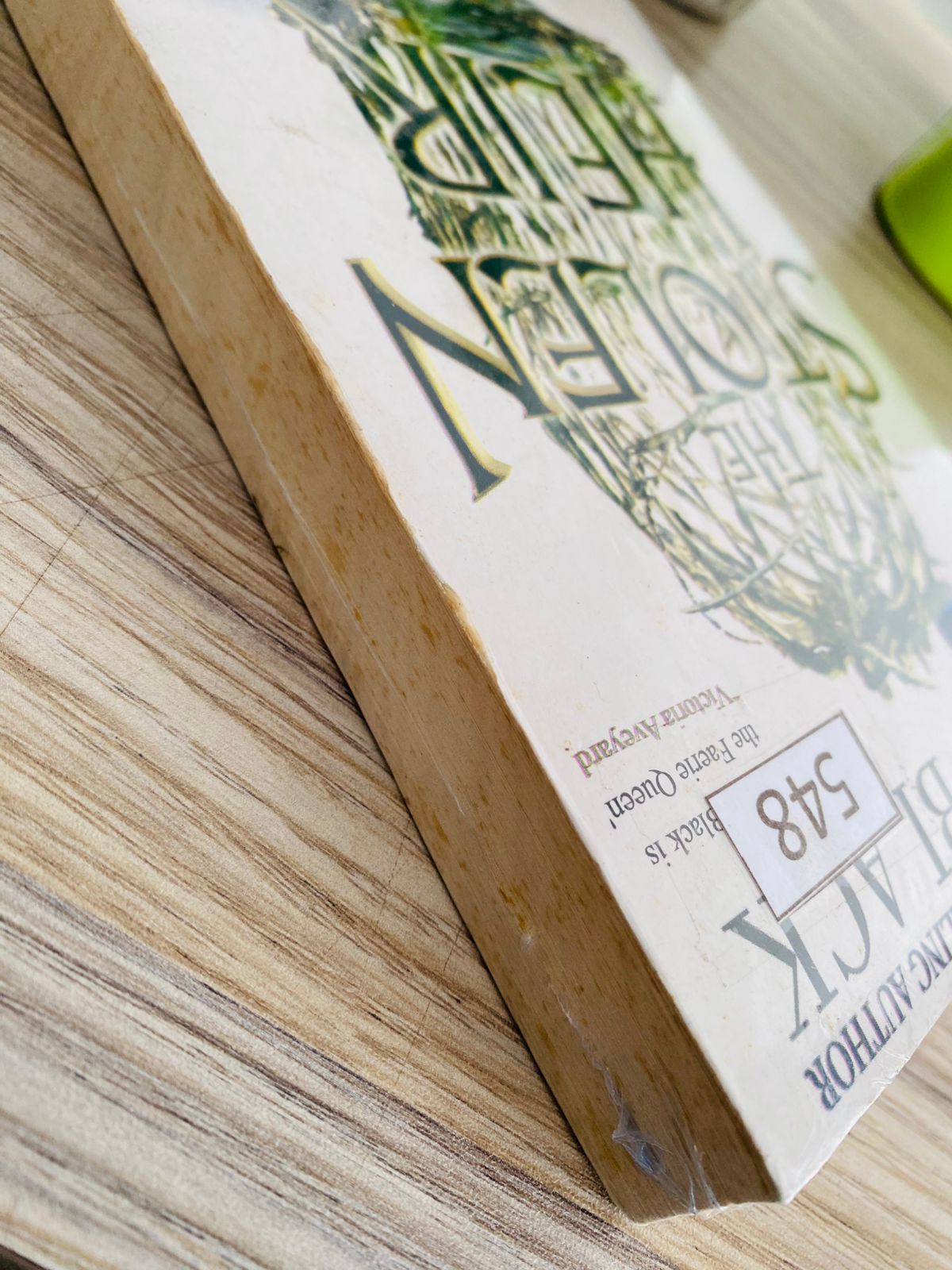 Stolen Heir - 4 (548)