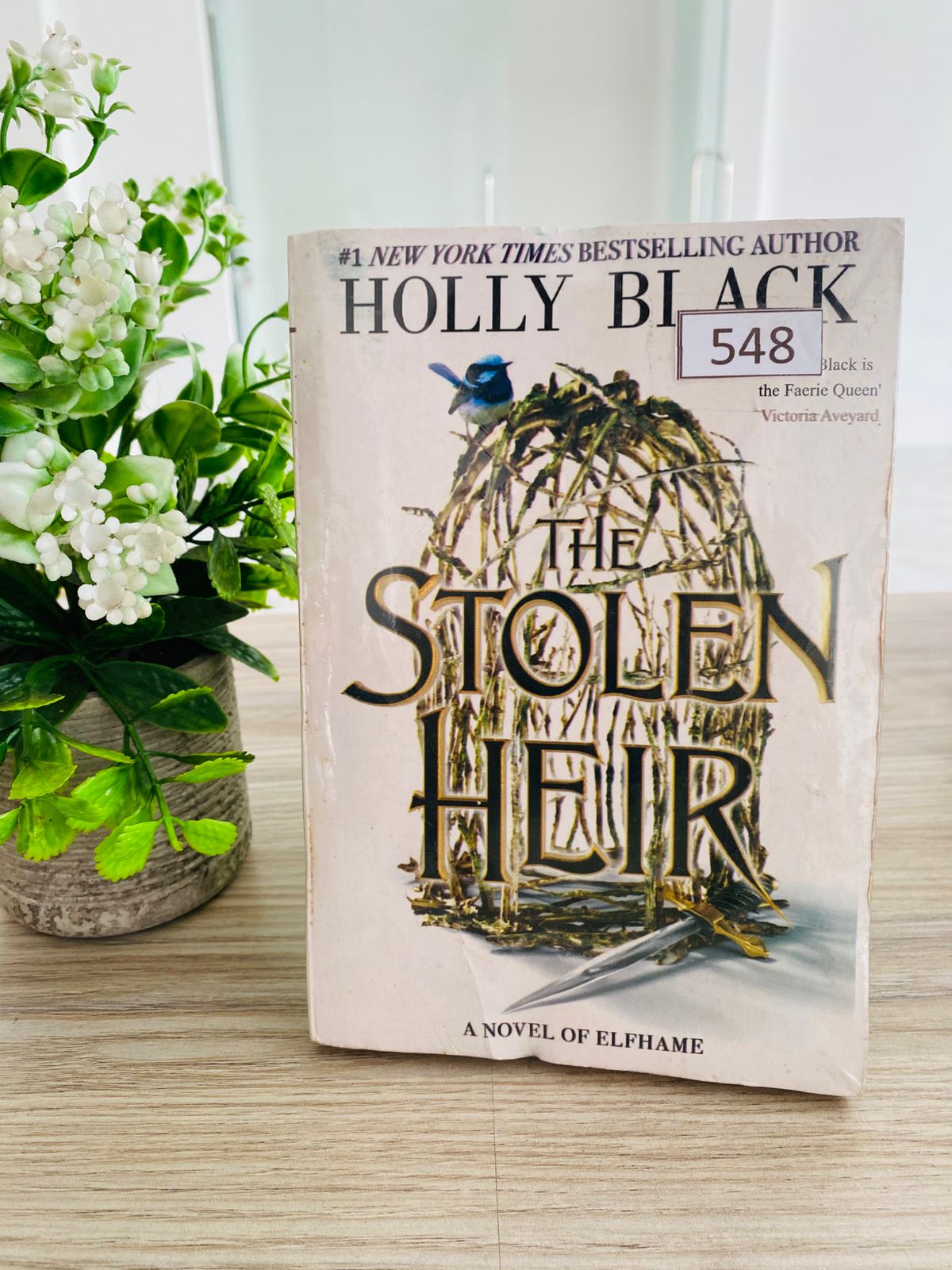 Stolen Heir - 5 (548) Stolen Heir