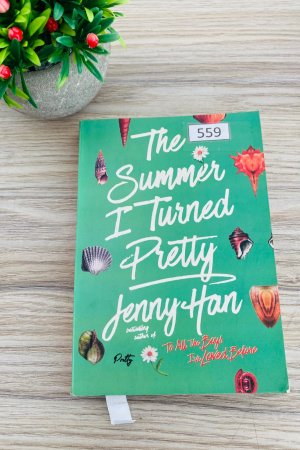 Summer I Turned Pretty