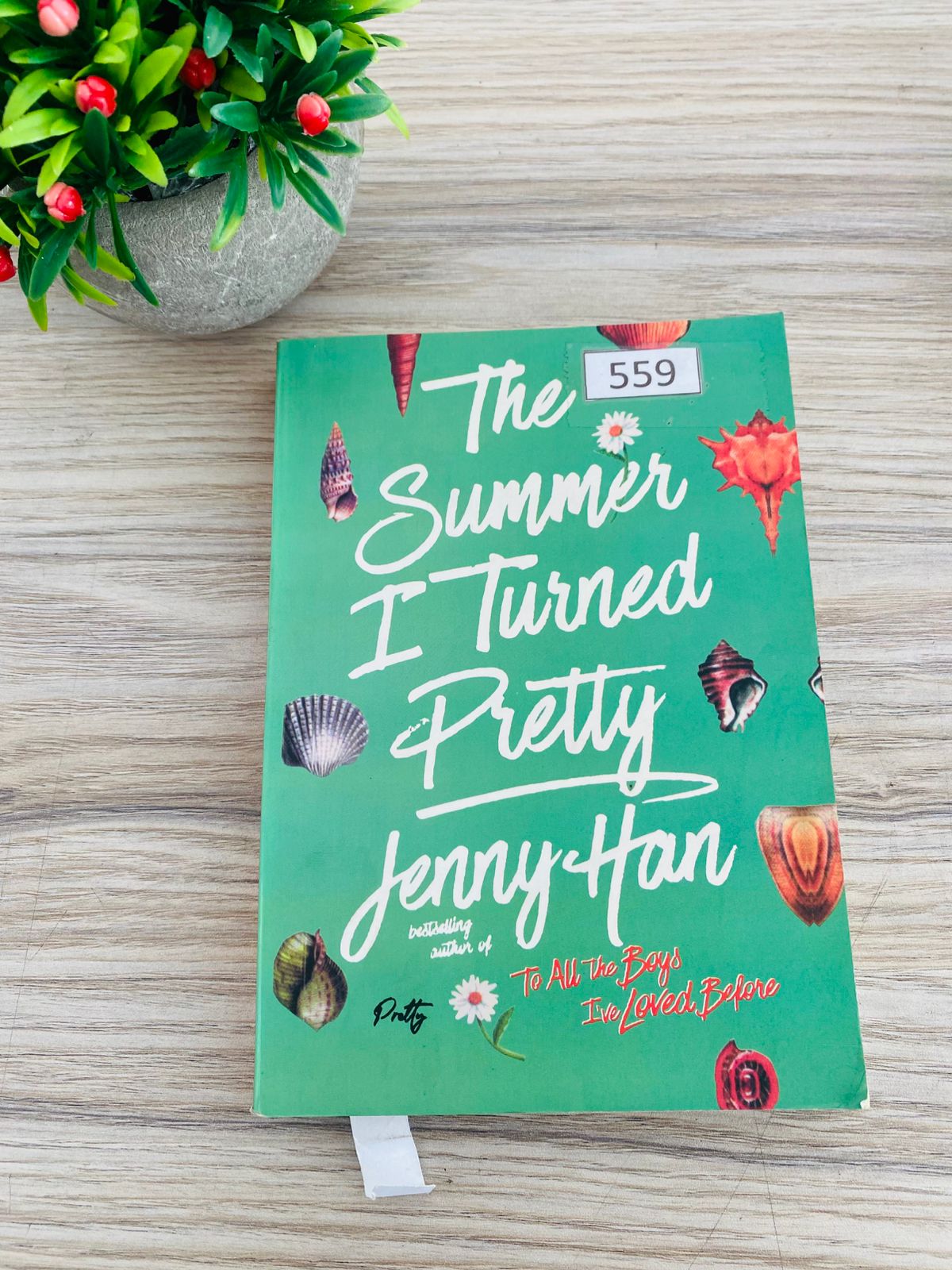 Summer I Turned Pretty - 5 (559) Summer I Turned Pretty