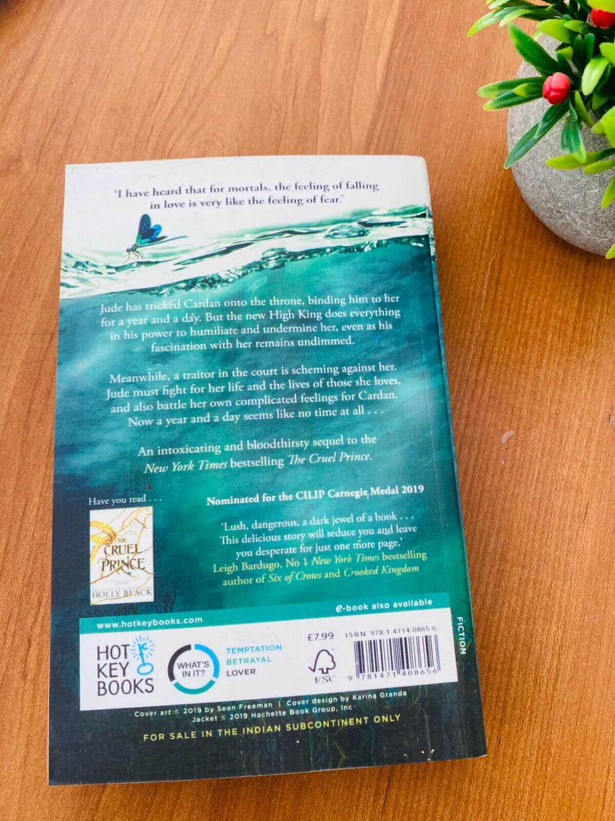 The Wicked King by Holly Black ii (608)