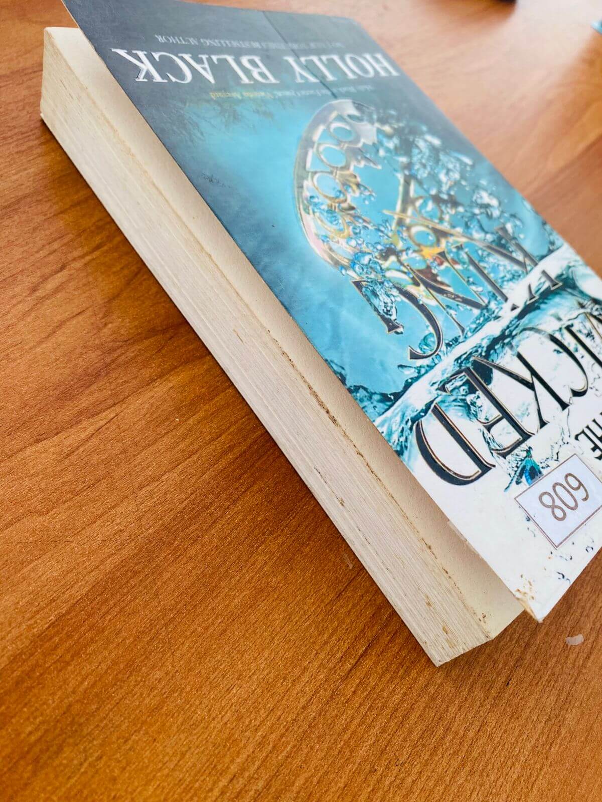 The Wicked King by Holly Black iii (608)