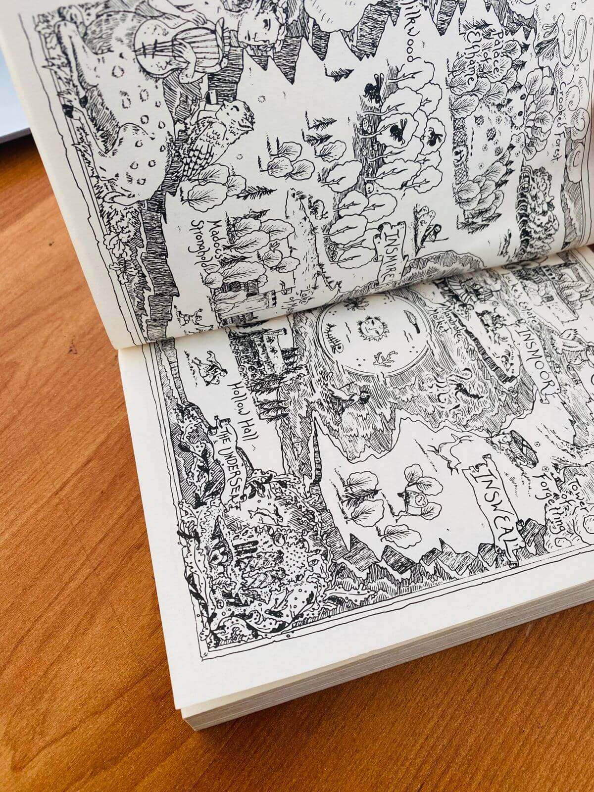 The Wicked King by Holly Black v (608) The Wicked King