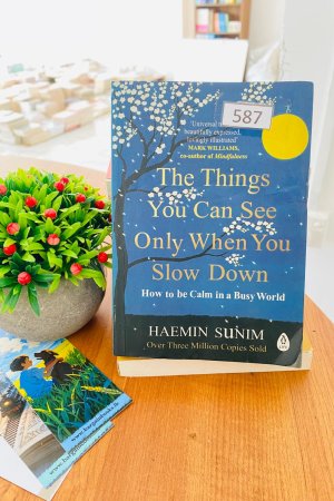 Things You Can See Only When You Slow Down