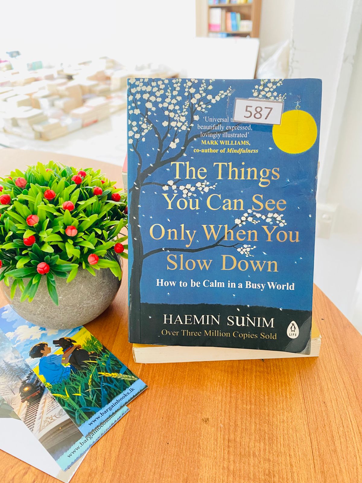 The things you can see by haemin sunim-i (587) Things You Can See Only When You Slow Down