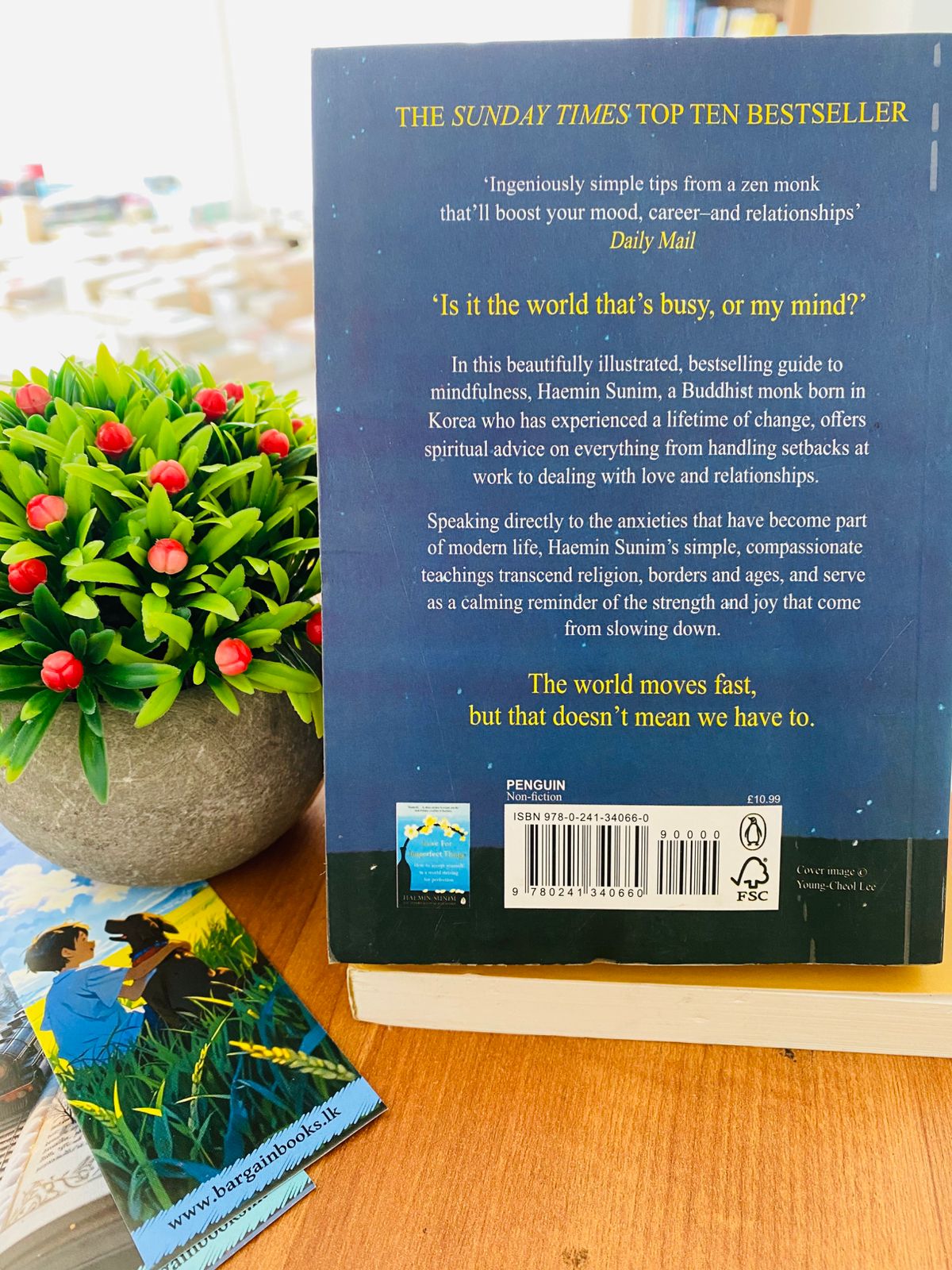 The things you can see by haemin sunim-ii (587)