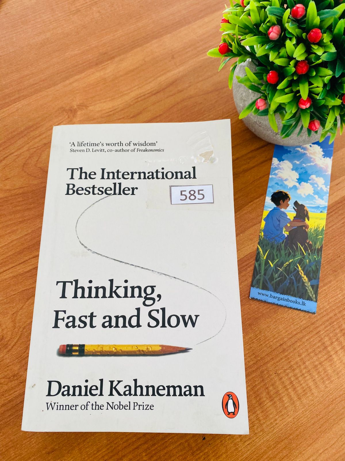 Thinking Fast & Slow (3) Thinking Fast & Slow