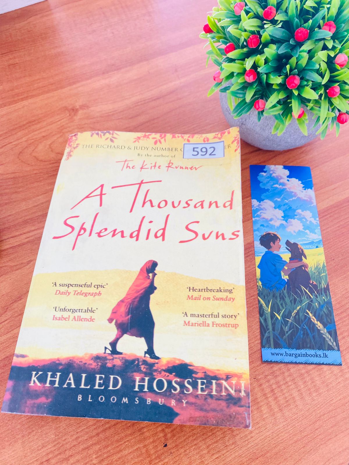 Thousand splendid sun (2) Thousand splendid sun