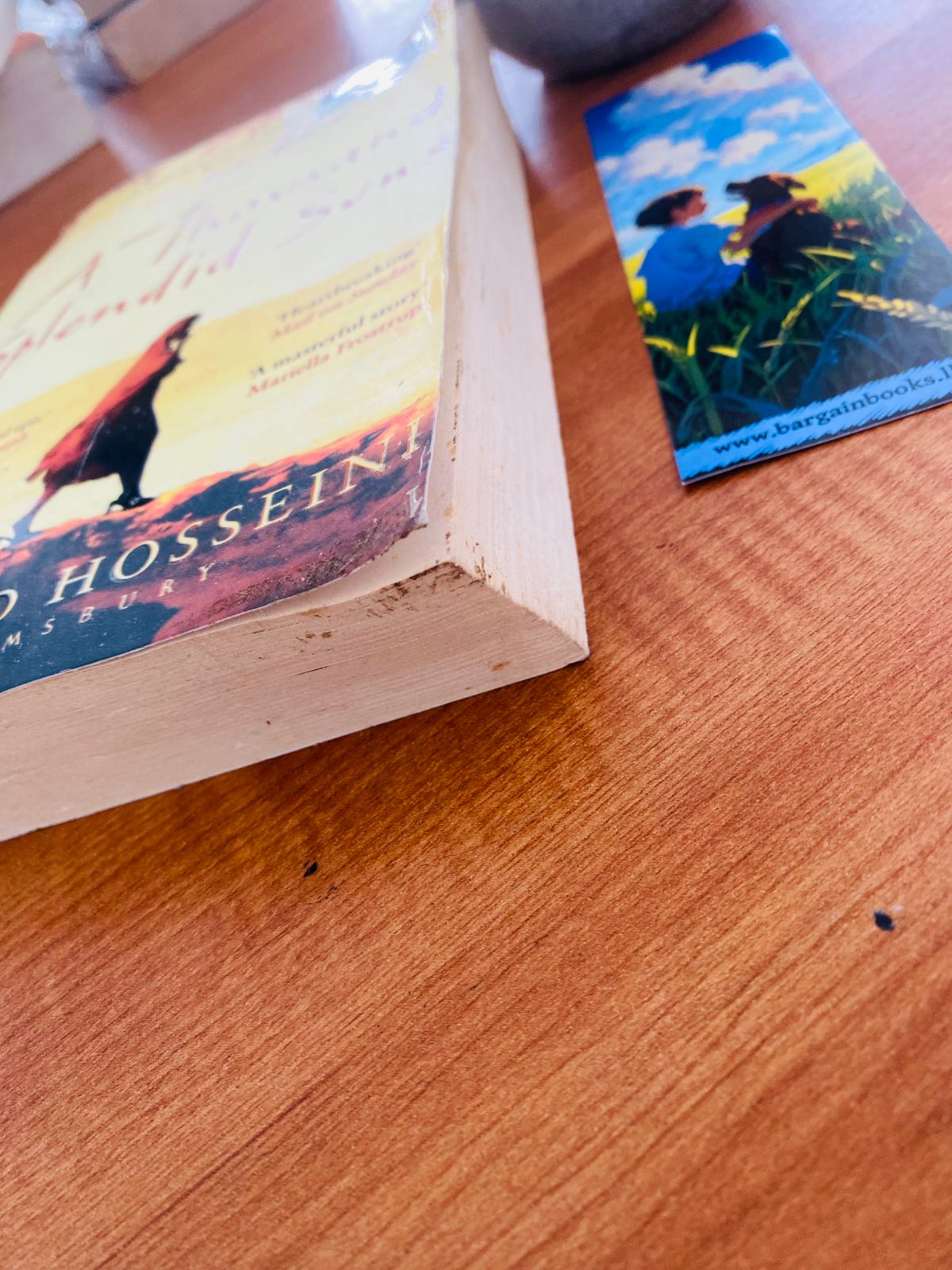 Thousand splendid sun (3) Thousand splendid sun