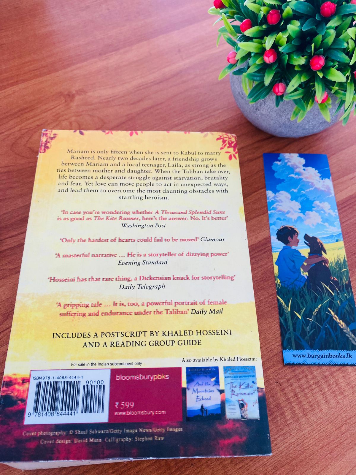 Thousand splendid sun (4)