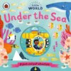 Little World