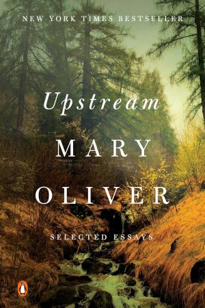 Upstream by  Mary Oliver