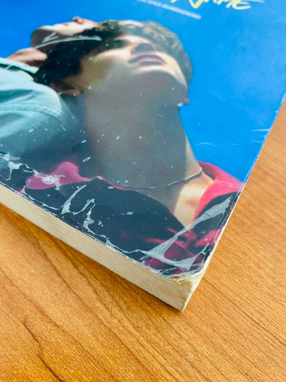 WhatsApp Image 2025-12-15 at 2.57.03 PM (1) Call Me by Your Name