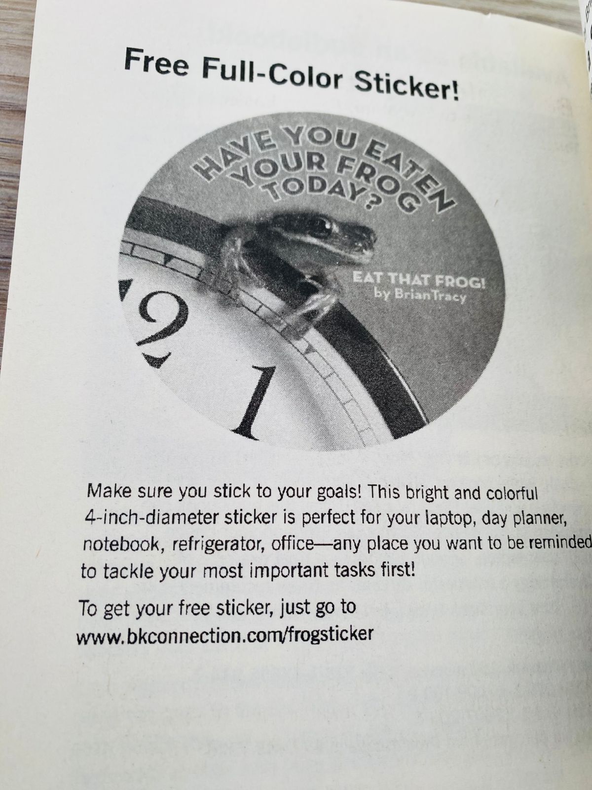 WhatsApp Image 2025-12-24 at 11.24.33 AM (1)