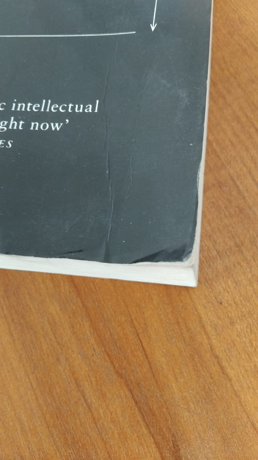 WhatsApp Image 2025-12-30 at 3.25.20 PM