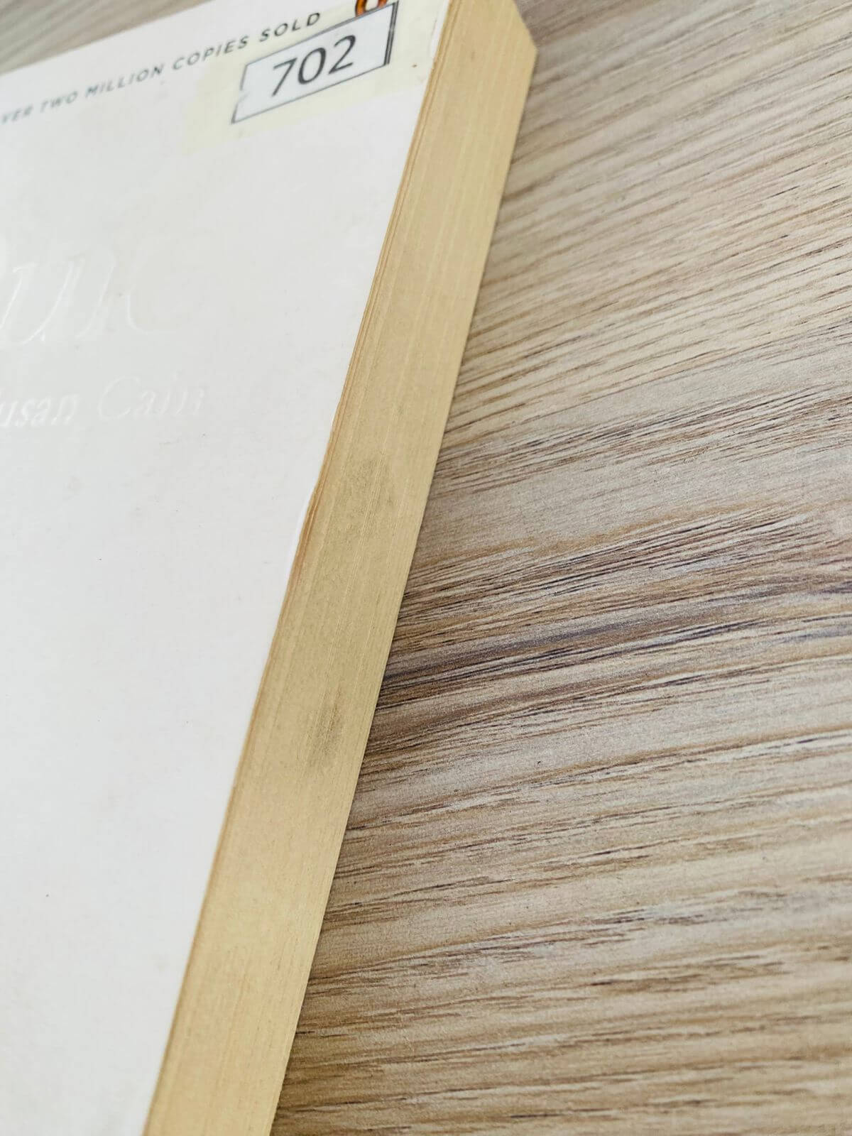 WhatsApp Image 2026-01-01 at 3.47.47 PM (1)