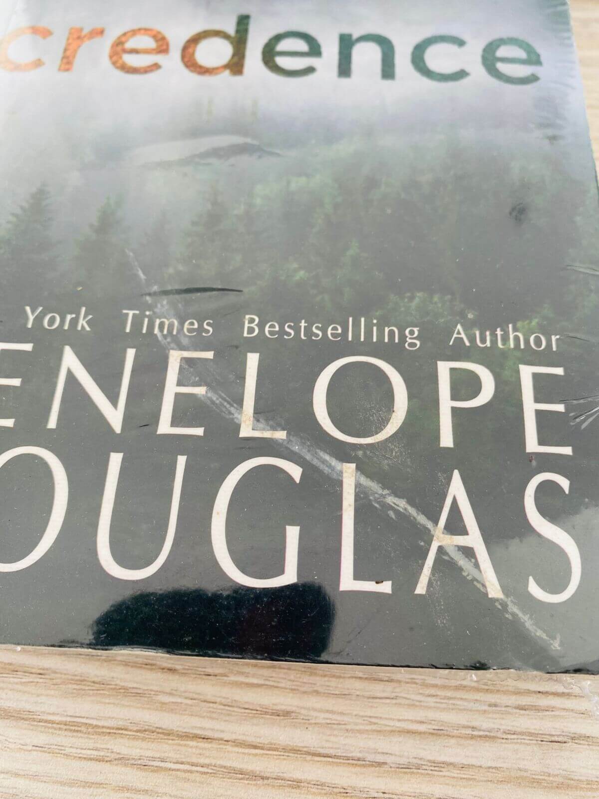 WhatsApp Image 2026-01-01 at 3.54.40 PM (1)