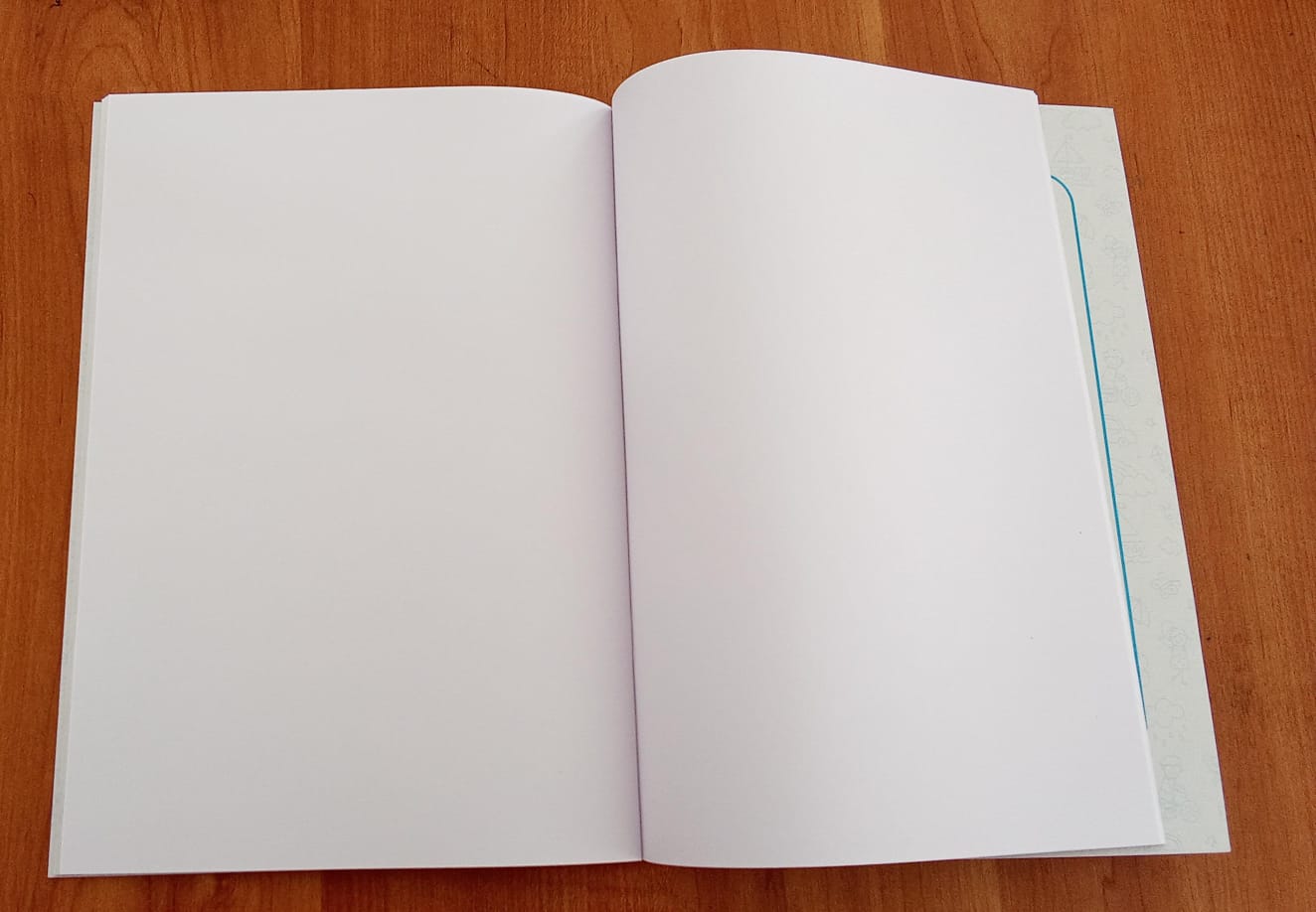 WhatsApp Image 2026-01-30 at 11.33.44 AM