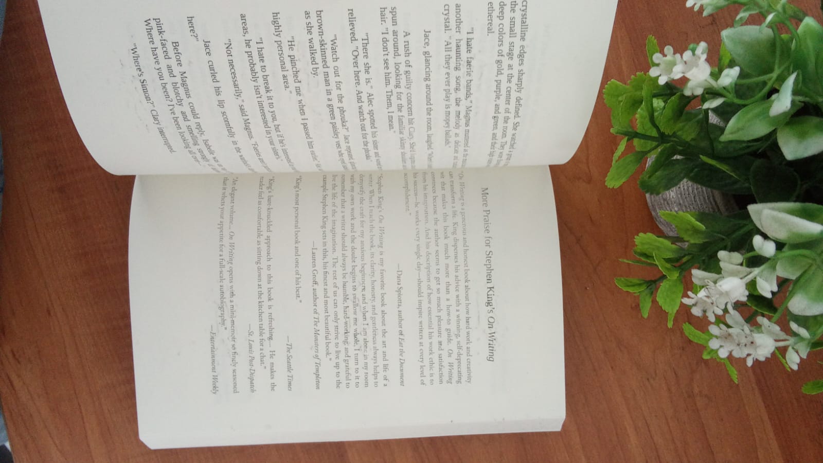 WhatsApp Image 2026-03-19 at 1.10.10 PM