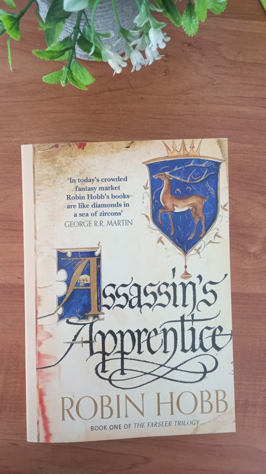 WhatsApp Image 2026-03-19 at 4.18.23 PM (1)