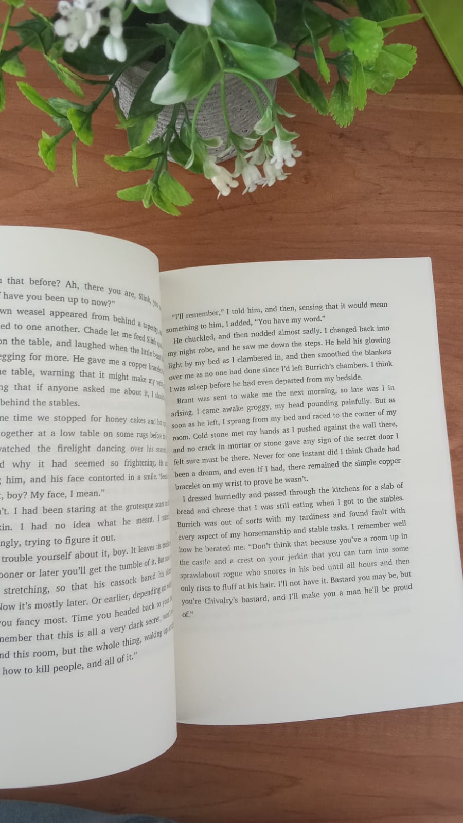 WhatsApp Image 2026-03-19 at 4.18.23 PM (2)