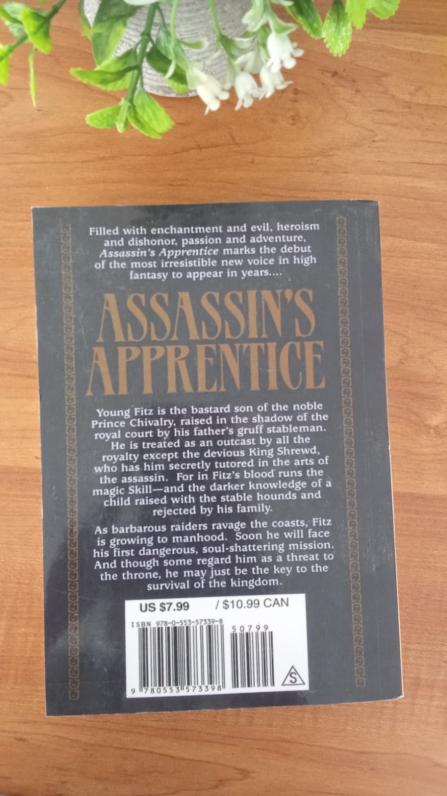 WhatsApp Image 2026-03-19 at 4.18.23 PM