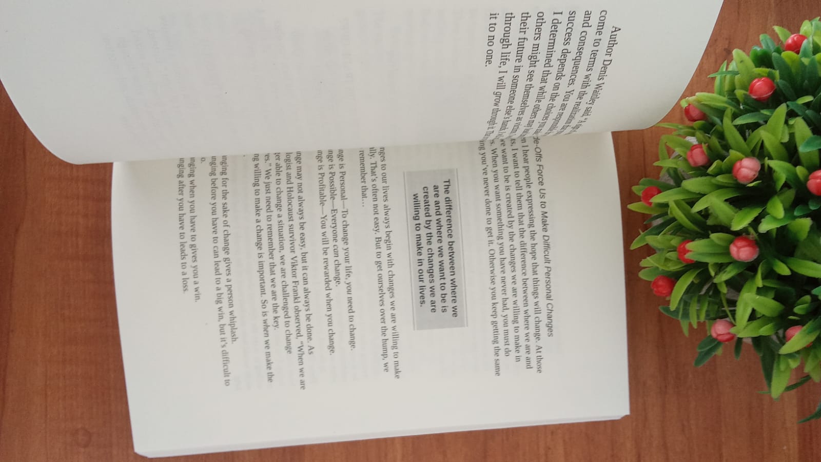 WhatsApp Image 2026-03-23 at 3.39.11 PM