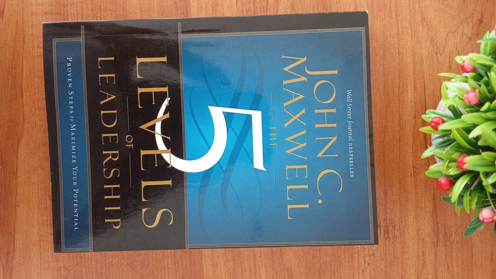 WhatsApp Image 2026-03-23 at 3.40.07 PM (2)