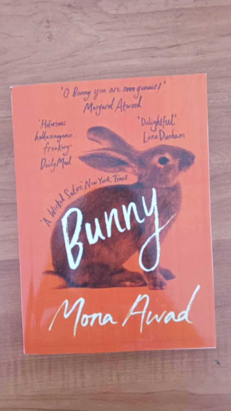 WhatsApp Image 2026-03-25 at 11.45.14 AM