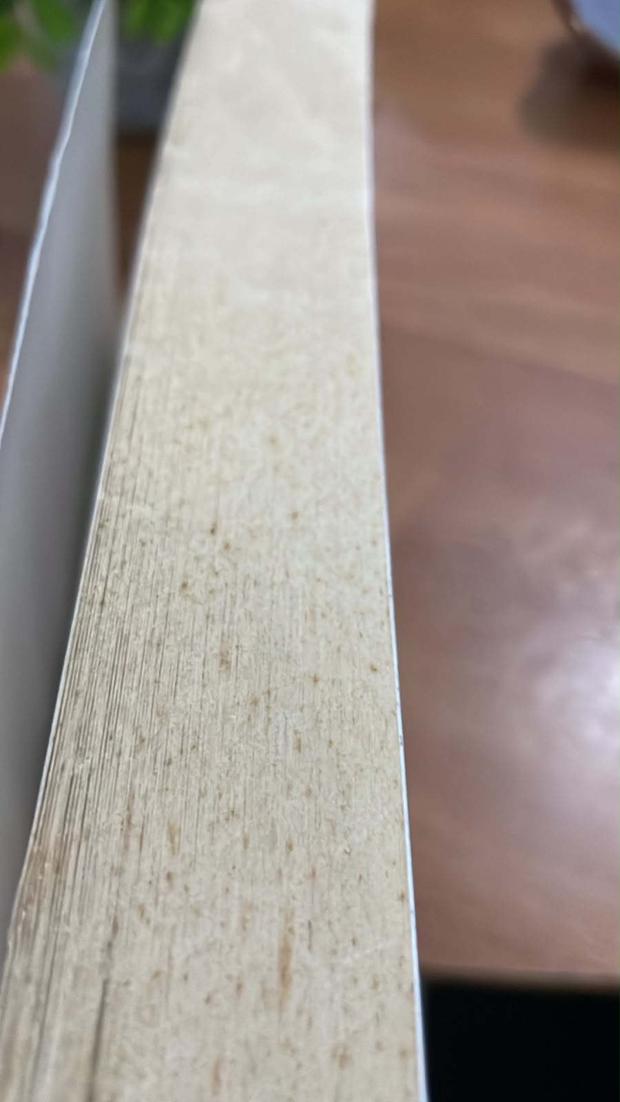 WhatsApp Image 2026-07-18 at 19.16.13 (2)