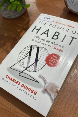 Power of Habit by Charles Duhigg (1191)