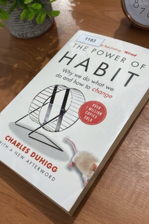 Power of Habit by Charles Duhigg (1193)