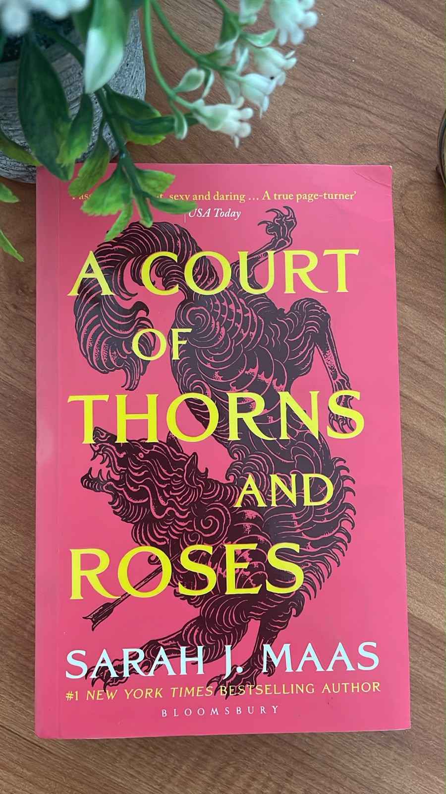 WhatsApp Image 2026-08-18 at 09.55.03 A Court of Thorns and Roses by Sarah J. Maas fantasy romance book
