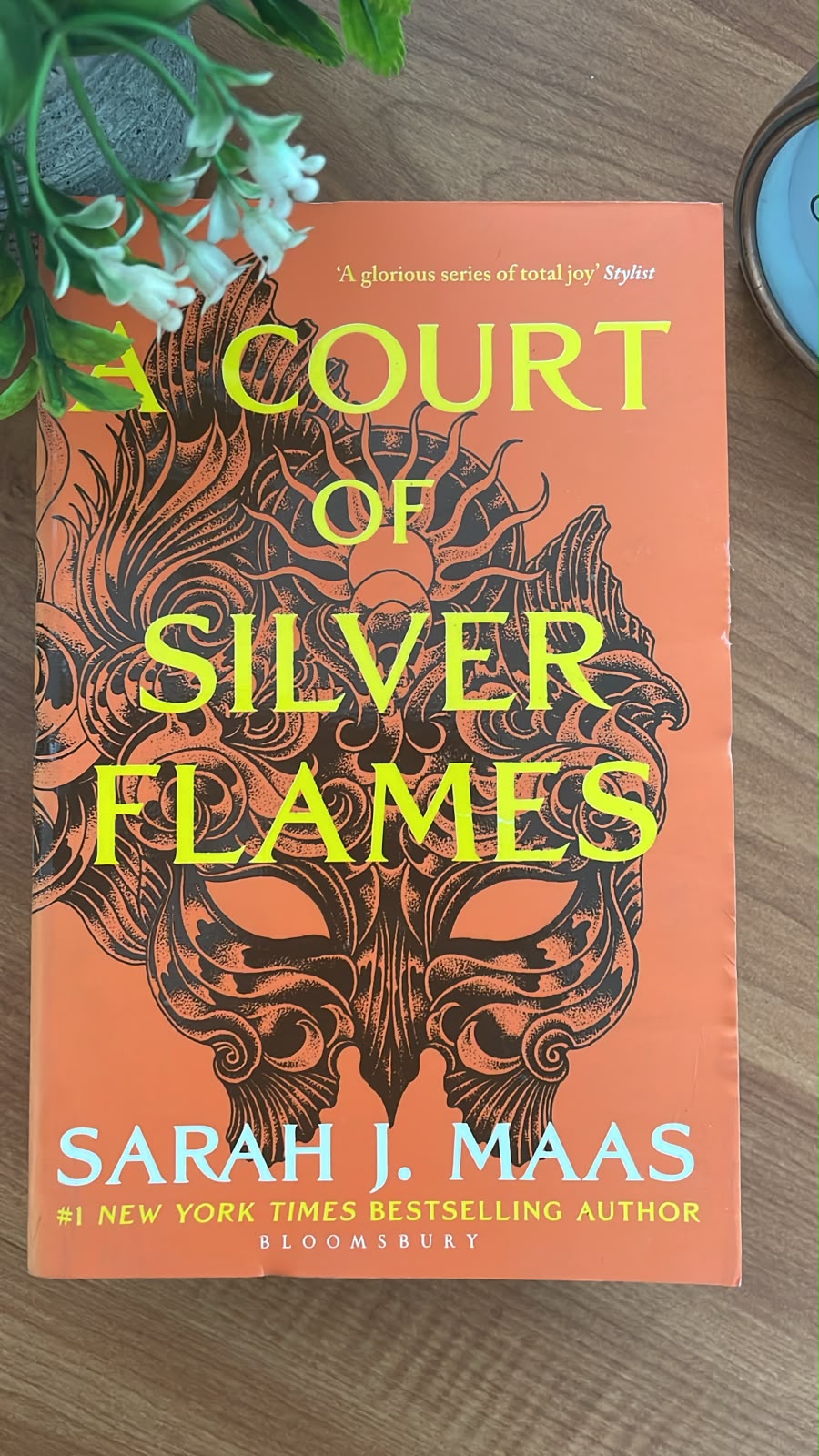 WhatsApp Image 2026-08-18 at 09.55.49 A Court of Silver Flames by Sarah J. Maas fantasy romance book