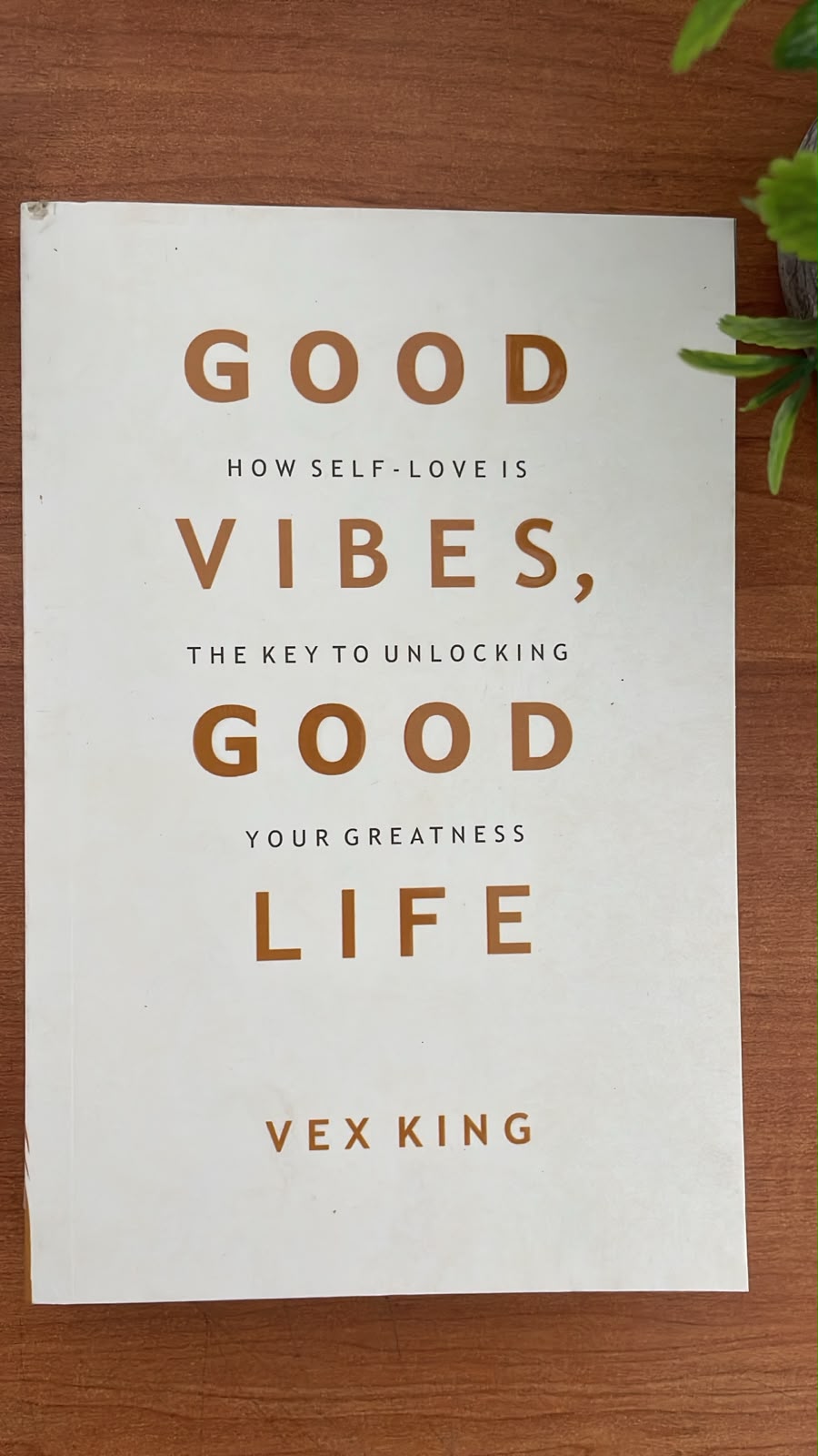 WhatsApp Image 2026-08-25 at 14.06.06 Good Vibes Good Life by Vex King book cover