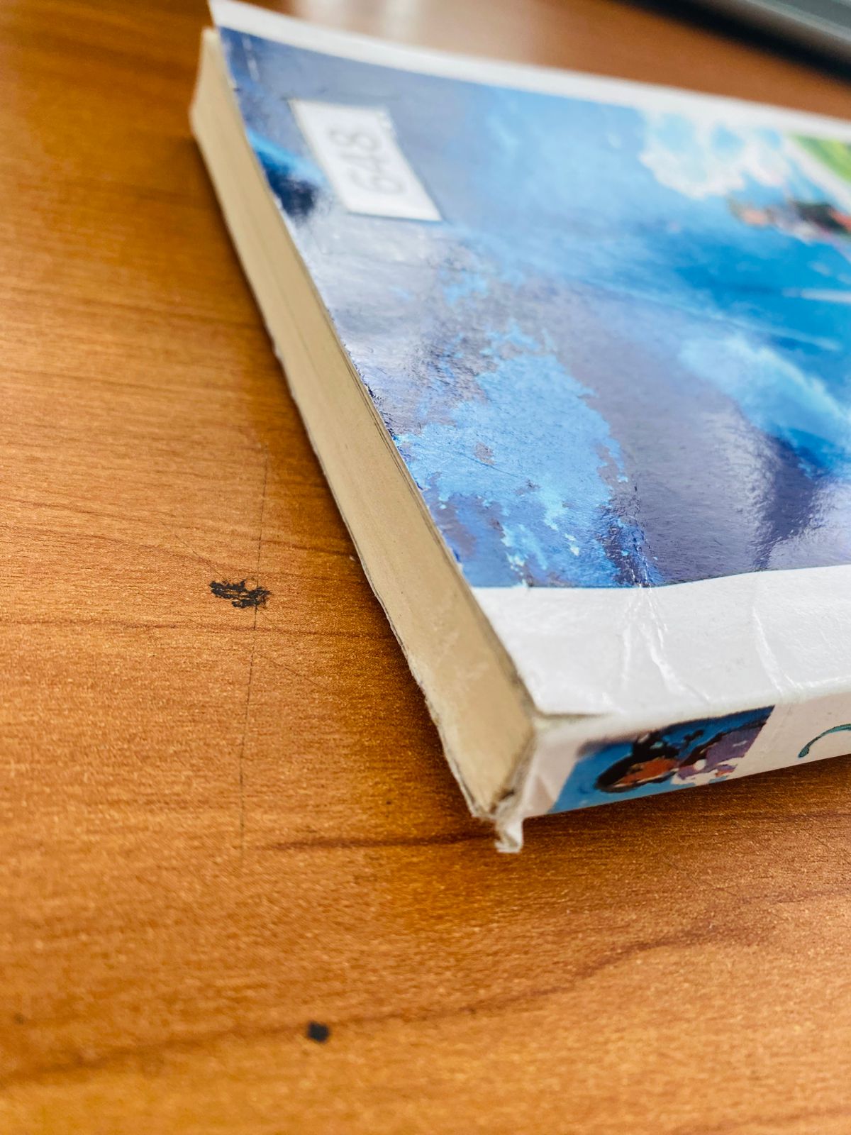 Your Name (3) Your Name