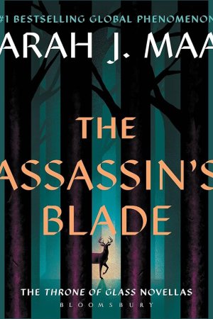 Assassing Blade by  Elizabeth Evans, Sarah J. Maas