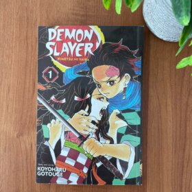 Demon Slayer Vol 1