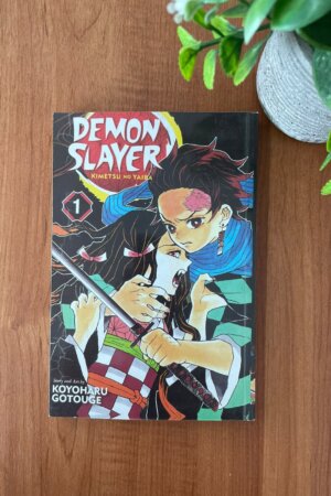 Demon Slayer Vol 1