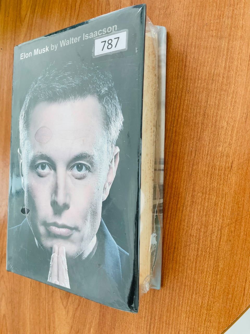 elon (3)